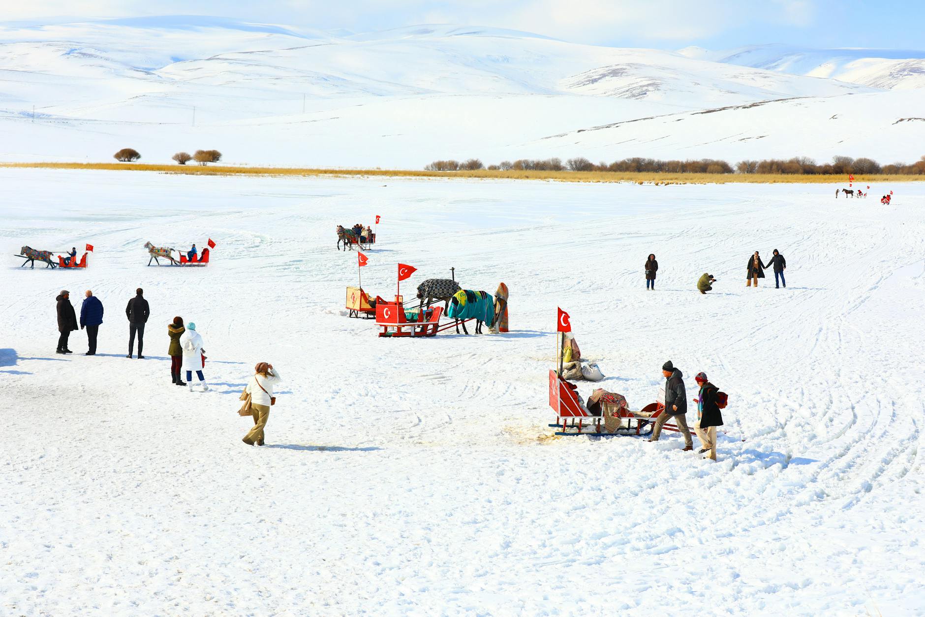 Kulig saniami zaprzężonymi w konie na ośnieżonej równinie w Turcji