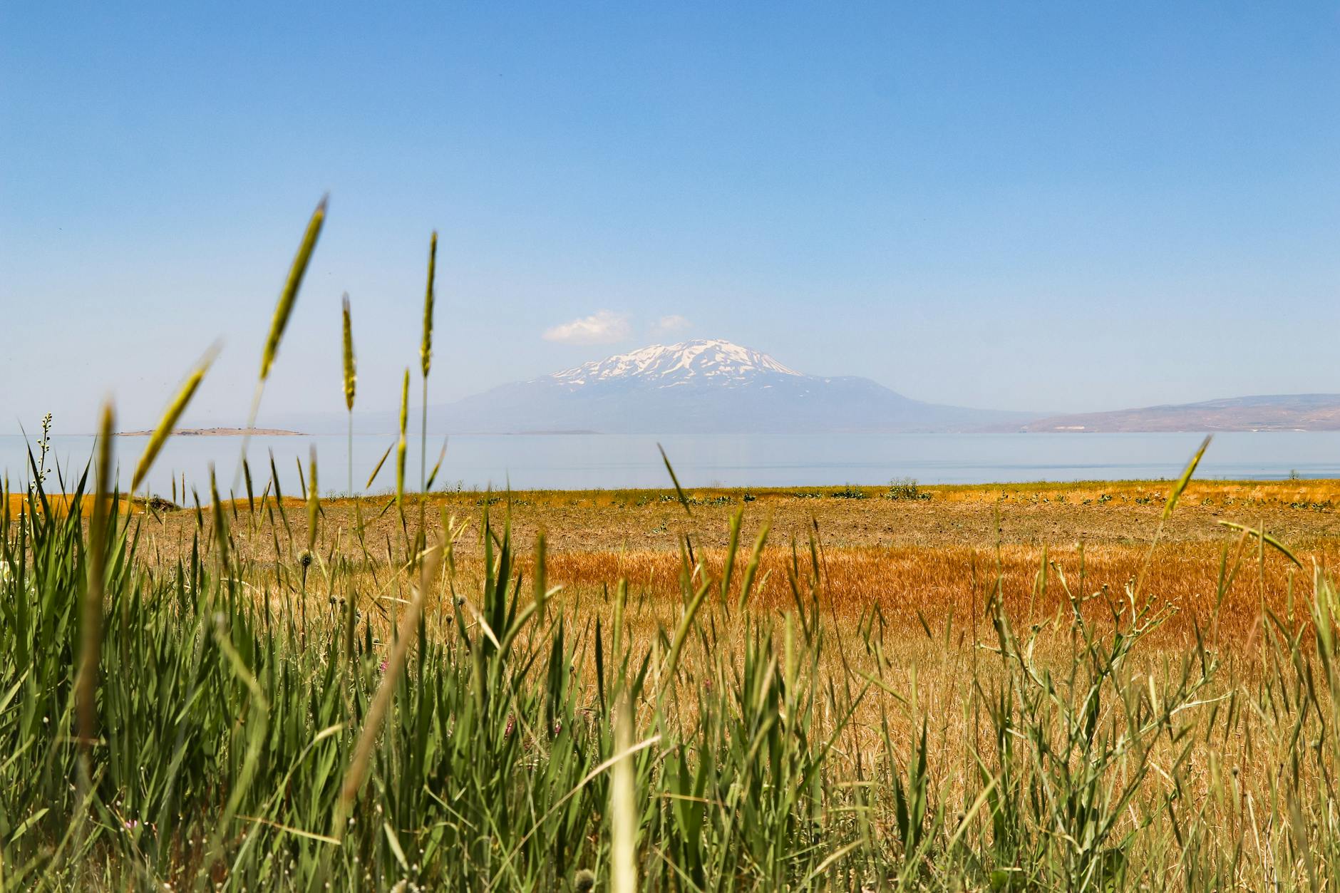 Letni widok na Ararat i jezioro Van z zieloną łąką na pierwszym planie