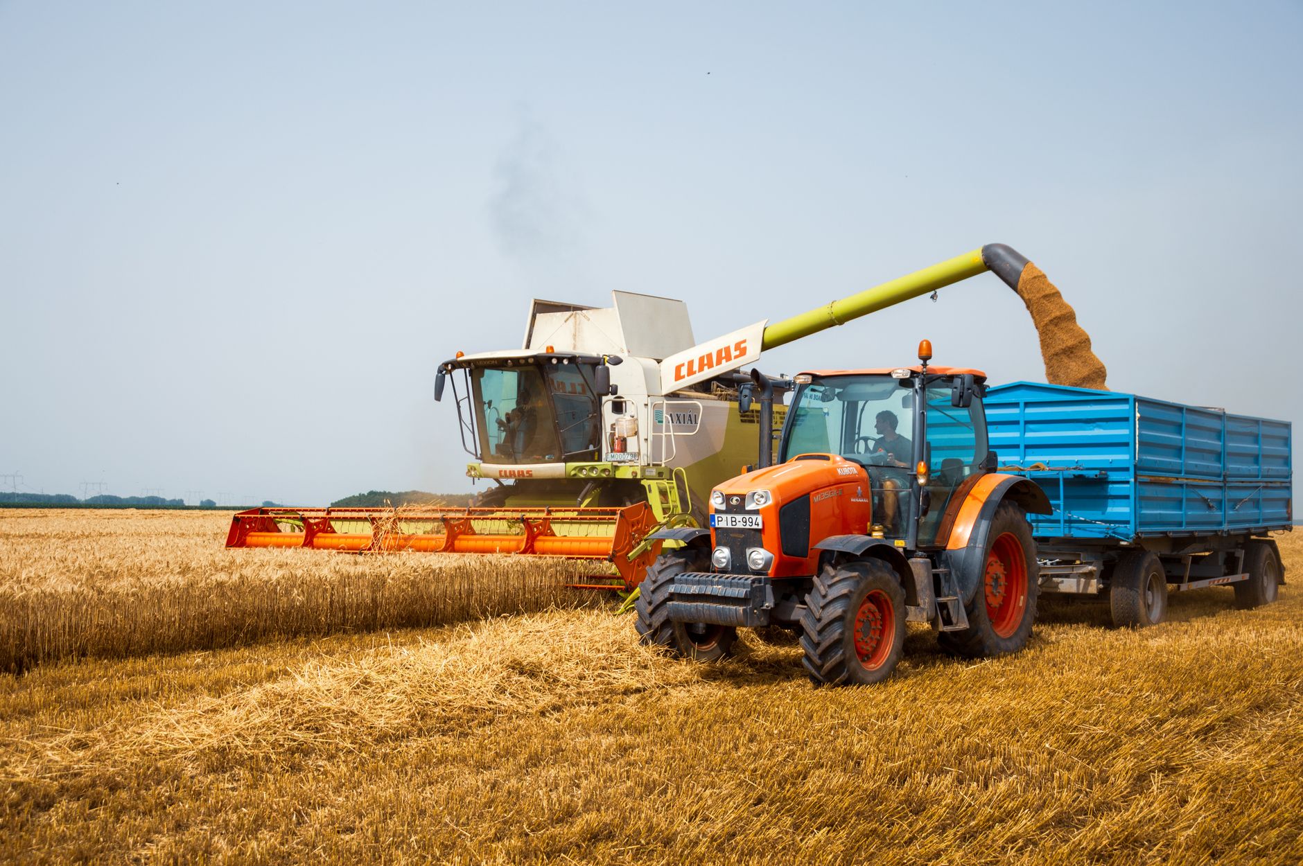 Kombajn i traktor pracujące latem na polu pszenicy podczas żniw